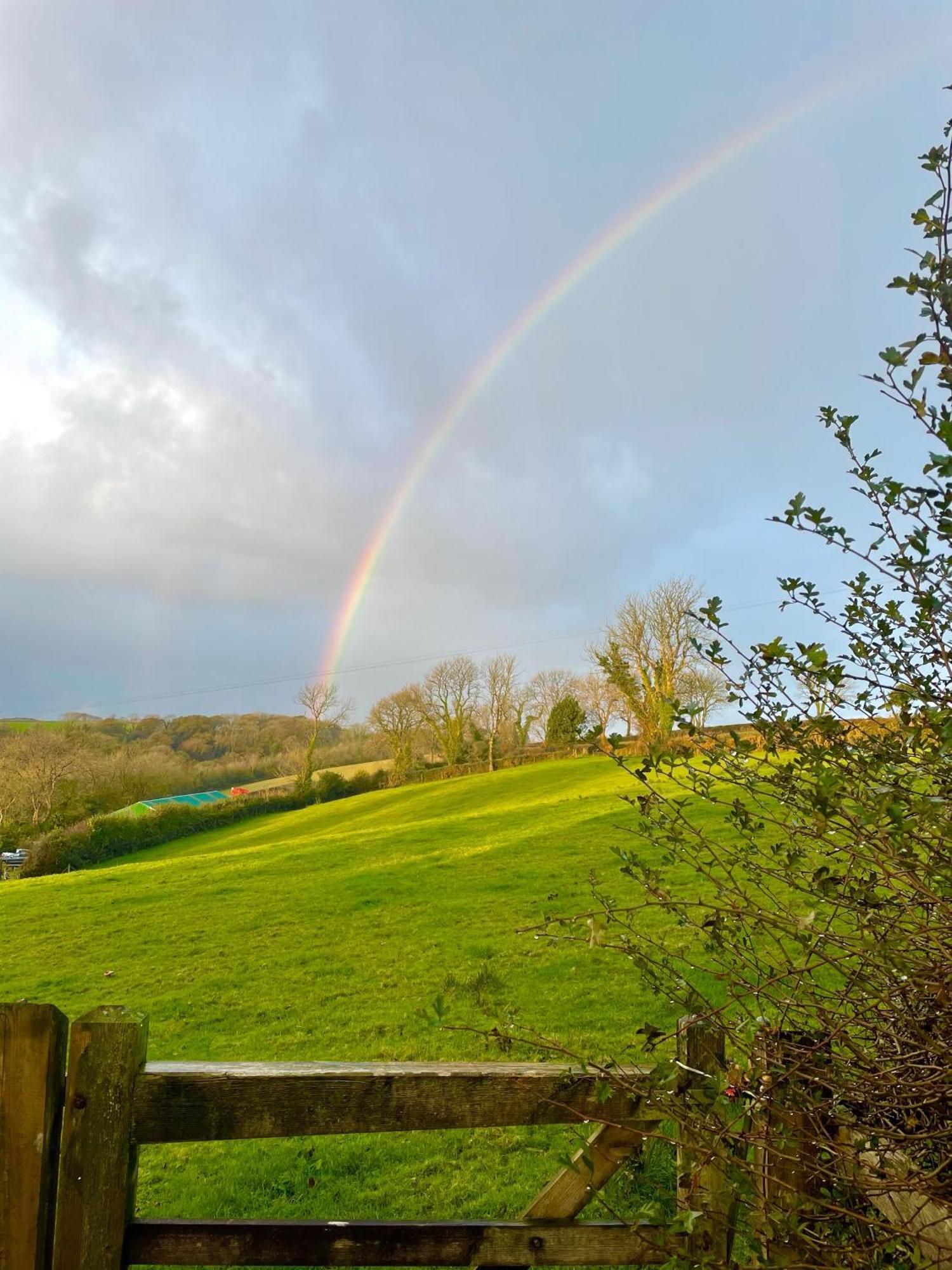 Stable End Cottage Narberth Esterno foto